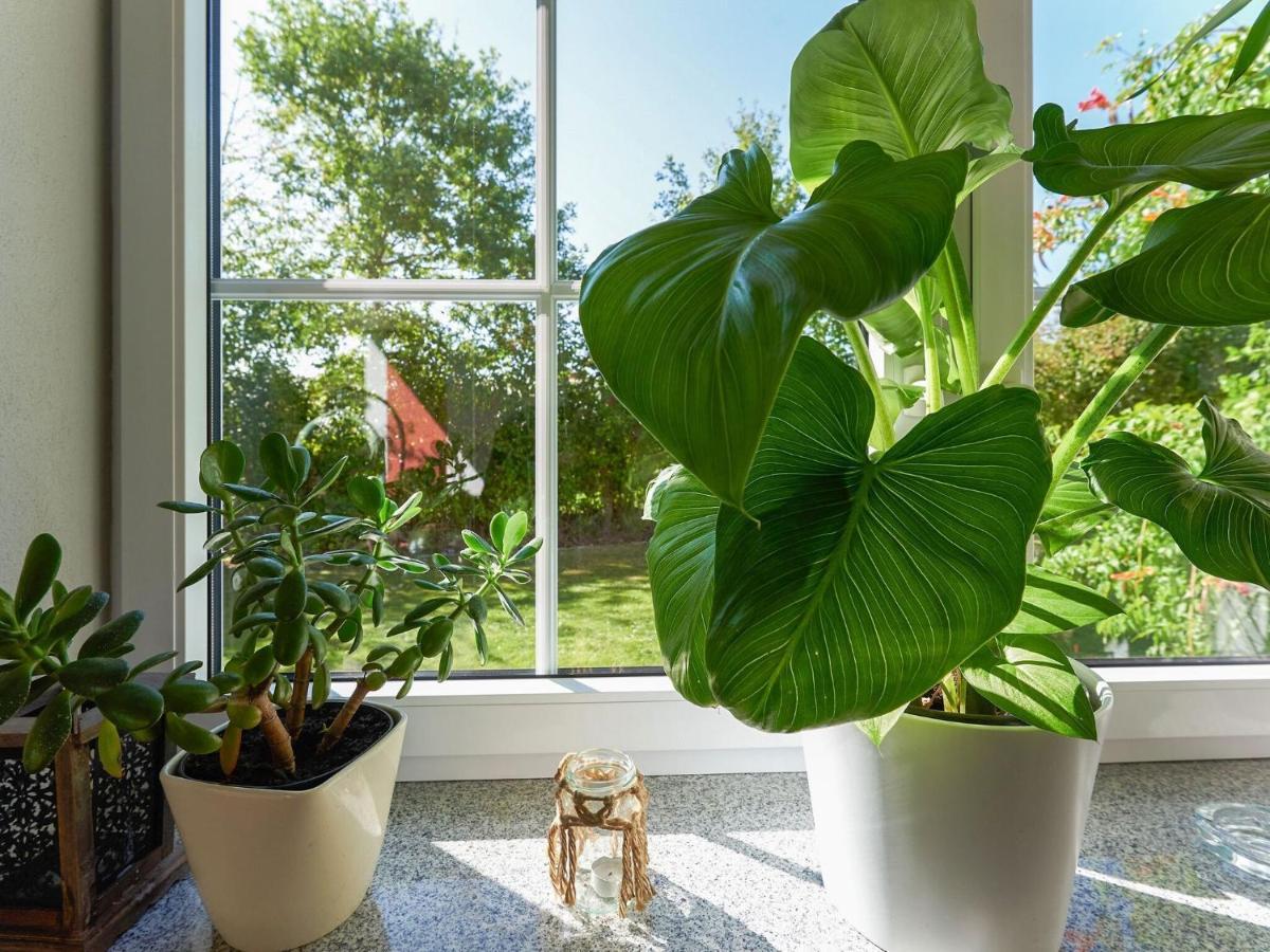 Nice Flat With Sauna Covered Terrace Garden And Tree House For Children Цандт Экстерьер фото